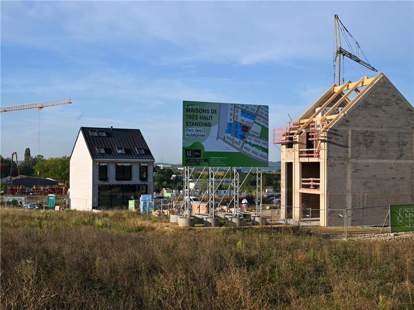 Entwicklung der Baupreise mit starken Schwankungen in den letzten turbulenten Jahren sichtbar dargestellt