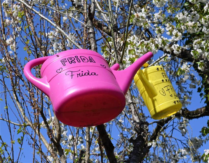 Die „FRiDA asbl“ bemängelt schon länger und vor allem immer wieder den in ihren Augen zu geringen Stellenwert des Tierschutzes im Land
