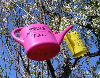 Die „FRiDA asbl“ bemängelt schon länger und vor allem immer wieder den in ihren Augen zu geringen Stellenwert des Tierschutzes im Land
