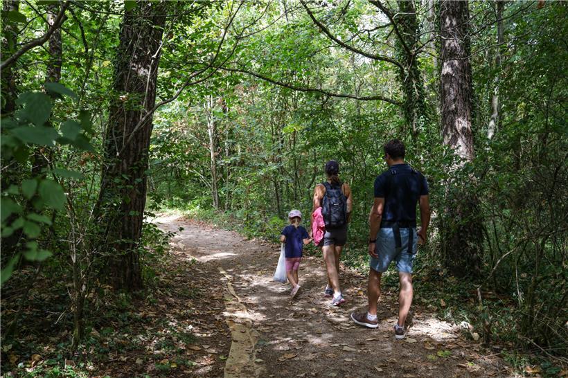 Die Familie übernachtet in den Baumhäusern und hat sich der Aktivität angeschlossen, ohne zu wissen, was auf sie zukommt
