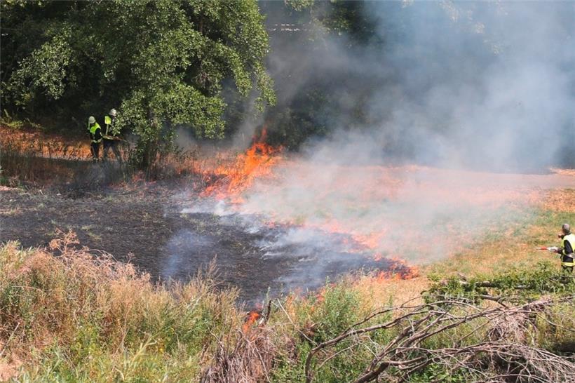 Die Flammen drohten, auf den angrenzenden Wald überzugreifen