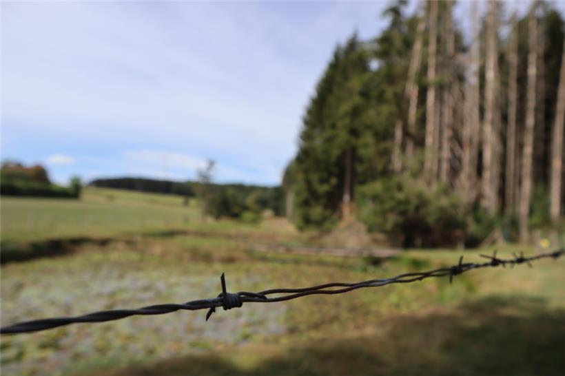 Die Fluchthelfer und ihre Begleiter mussten gefährliche Wege auf sich nehmen. An jeder Ecke konnten Gefahren lauern. 
