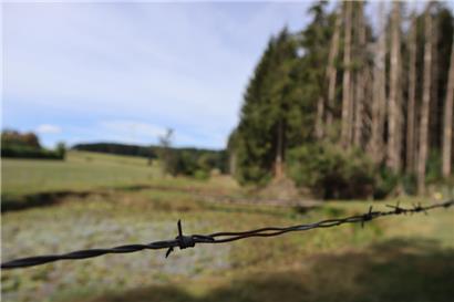 Die Fluchthelfer und ihre Begleiter mussten gefährliche Wege auf sich nehmen. An jeder Ecke konnten Gefahren lauern. 
