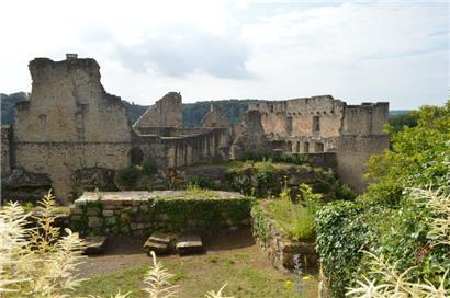 Die Foto-Ausstellung ist noch bis zum 16. Juni in der Burg Fels zu bestaunen
