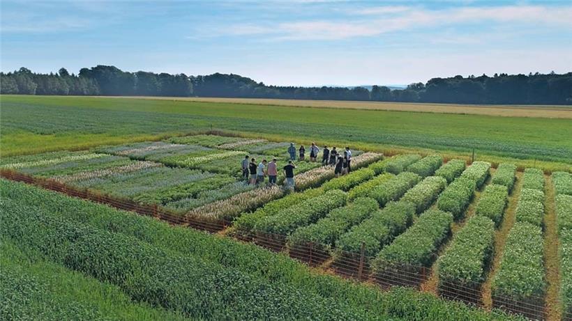 Die Futterproduktion für den Eigenbedarf ist ein wichtiges Element. Leguminosen ...