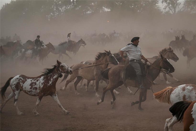 Die Gauchos sind nicht nur gut zu Pferde, hier in San Antonio de Areco, sondern wollen Europa mit Rindfleisch beliefern
