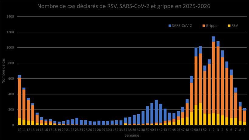 Abnehmende Grippefälle im Winter 2024, sinkende Infektionszahlen und positive Entwicklung der Gesundheitssituation