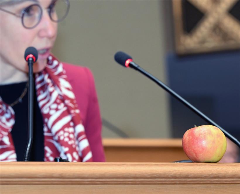 Die Grünen-Abgeordnete Sam Tanson kam bestens vorbereitet in die Budgetdebatte
