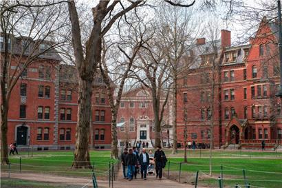 Die Harvard-Universität ist ein Sinnbild für akademische Exzellenz – damit hat eine Person wie Donald Trump nichts am Hut 
