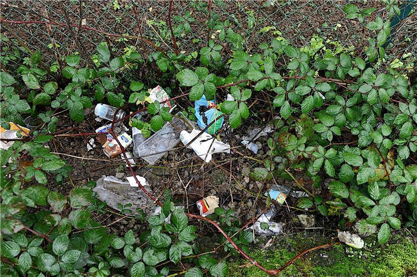 Die Hecke entlang des Parkplatzes neben dem Friedhof gleicht einer Müllhalde
