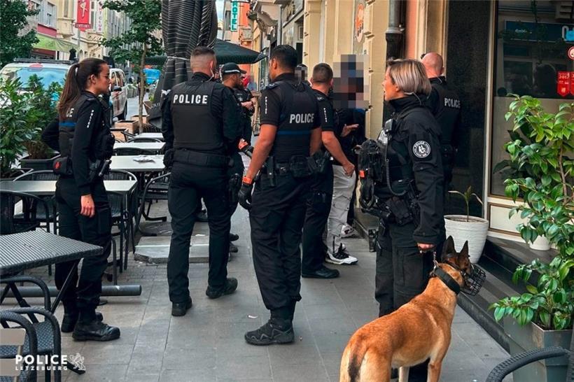 Die Hundestaffel hat die Beamten bei ihrem Einsatz unterstützt
