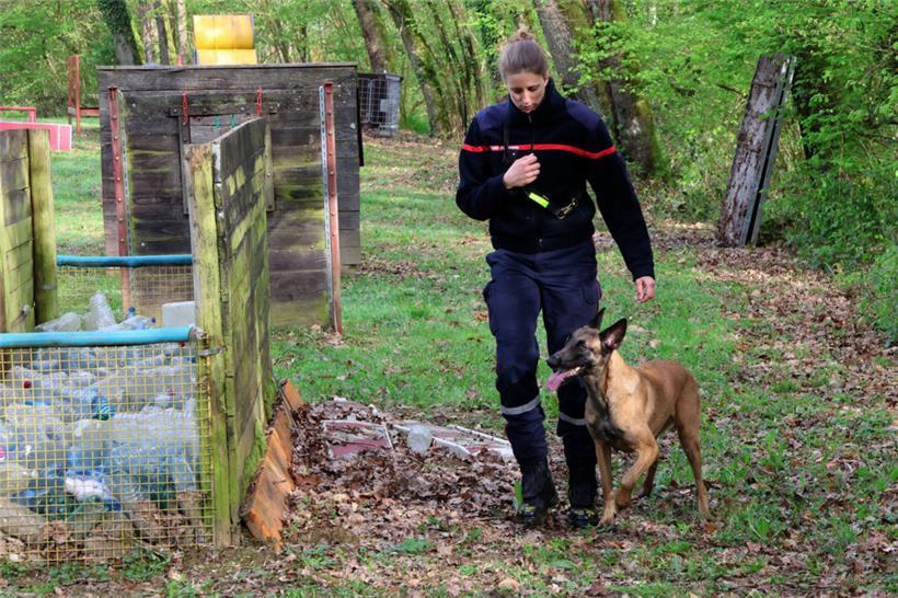 Die Interaktion zwischen Mensch und Hund ist innerhalb des Rettungshundeteams des CGDIS von entscheidender Bedeutung
