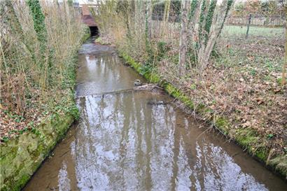 Die „Kälbaach“ hat keine natürliche Flussdynamik. Mit Folgen für die Umwelt
