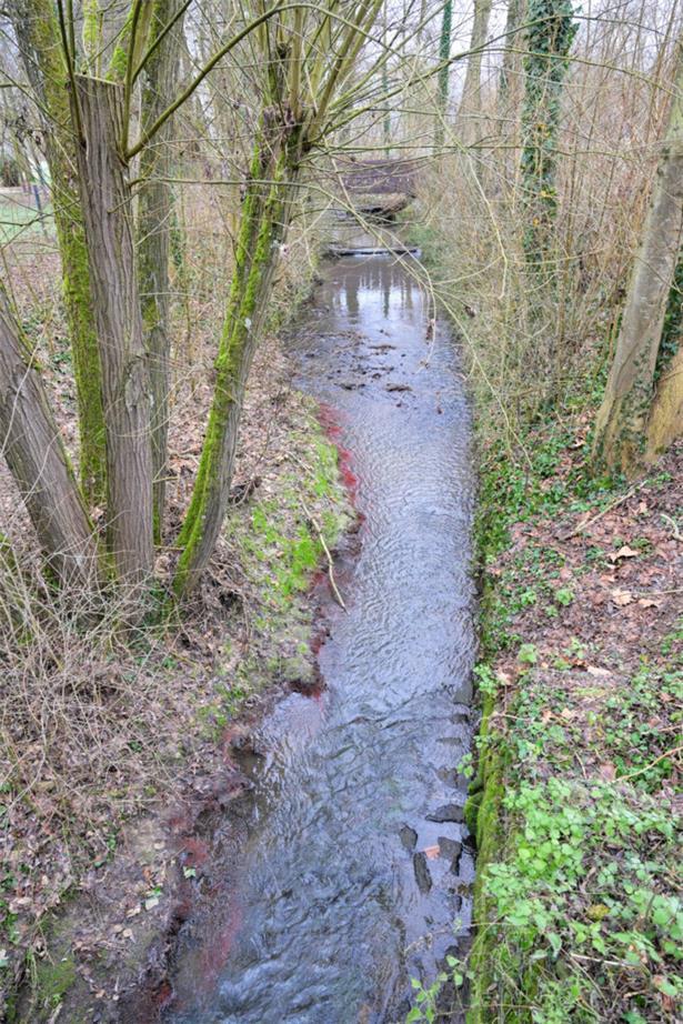 Die „Kälbaach“ in Rümelingen
