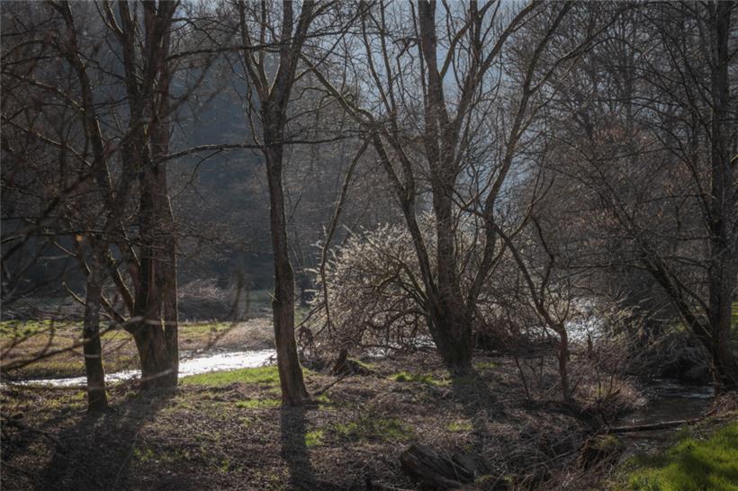 Die „Kalbermillen“ liegt im Tal der Our