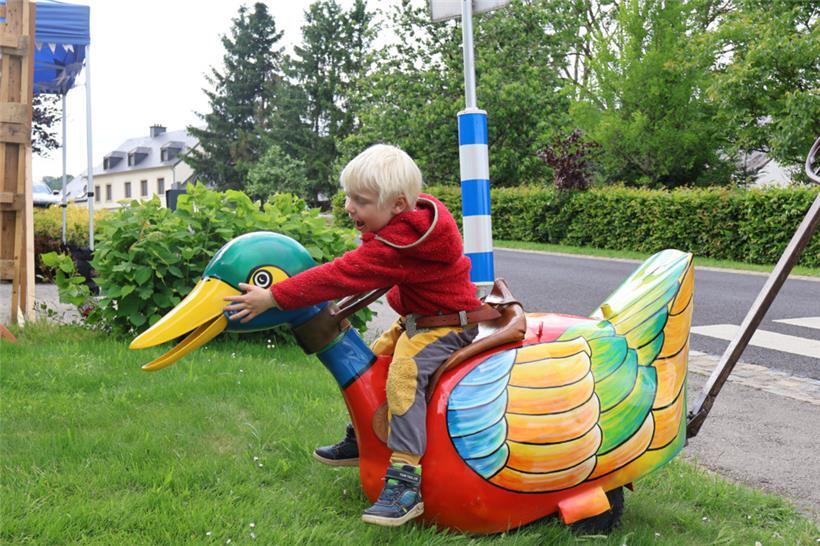 Die Kinder durften sieben Minuten mit den Tieren herumfahren und wurden dabei vo...
