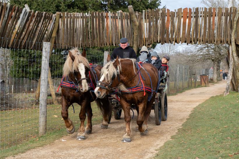 Die Kleinen konnten einen Ausflug in der Pferdekutsche erleben
