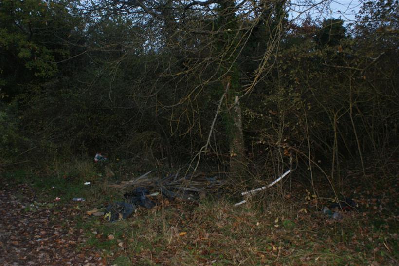 Die Körperteile wurden in einem Gebüsch am Rand des Parkplatzes entdeckt