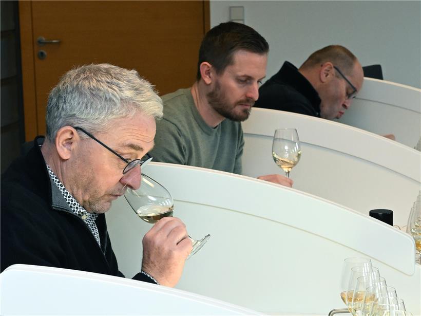 Kommissionsmitglieder bewerten Weinproben nach Geruch, Geschmack und Gesamteindruck bei Weinverkostung