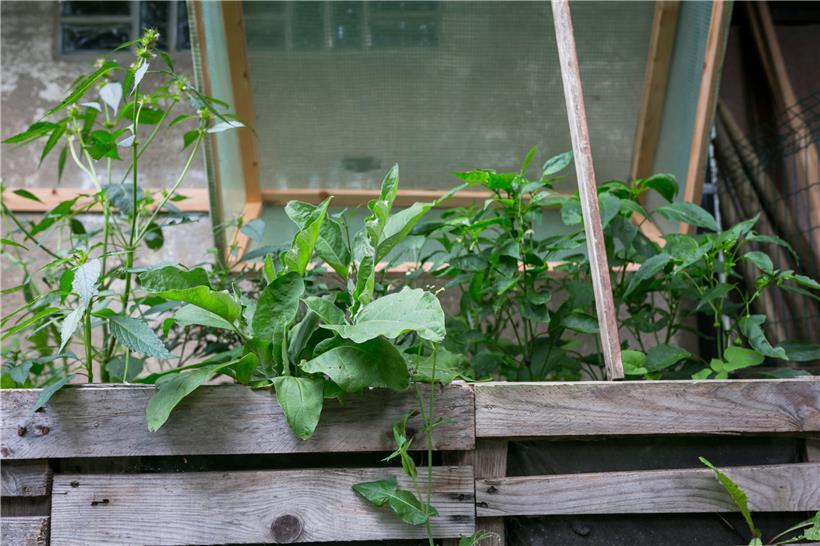 Die Kontrolle über das, was auf dem Teller ist. Das will der Ernährungsrat errei...