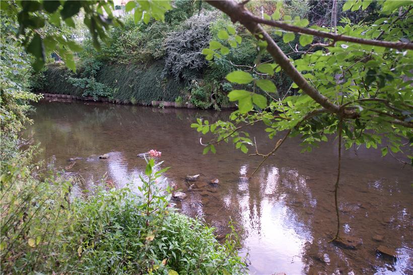 Die Korn im August 2019 in Höhe von Oberkorn
