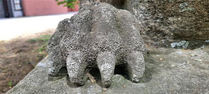 Die Krallen der Sphinx
