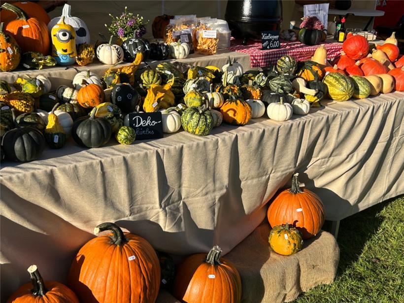 Die Kürbisse von „Frësch vum Flouer“
