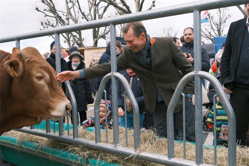 Die Kuh wirkte relativ unbeeindruckt von Großherzog Henri
