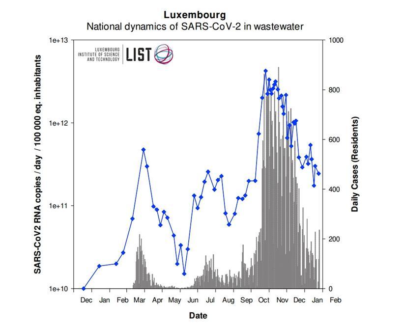 Die Kurve der LIST-Forscher zeigt, wie viel Viren-RNA bei den Abwasseruntersuchungen gefunden wurde
