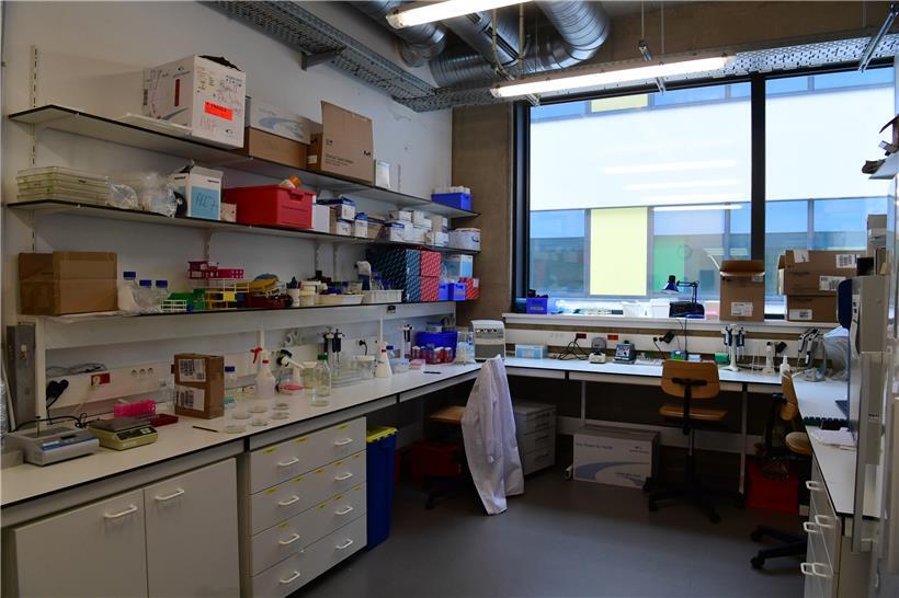 Die Labors, die die Erkenntnisse untermauern