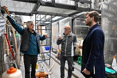 Die Lese ist einen Monat her: Zeit, unseren Rivaner zu probieren
