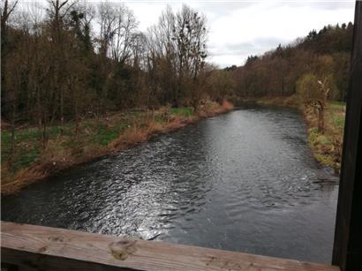 Die Luxemburger Uferseite der Sauer (r.) wurde nach der Hochwasserkatastrophe weitgehend gesäubert. Auf der deutschen Seite (l.) sieht es allerdings anders aus: In zahlreichen Bäumen hängt weiterhin angespülter Plastikmüll.

