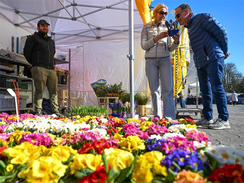 Die Marktsaison auf dem „Glacis“ beginnt in der Regel im Frühjahr und endet im Herbst