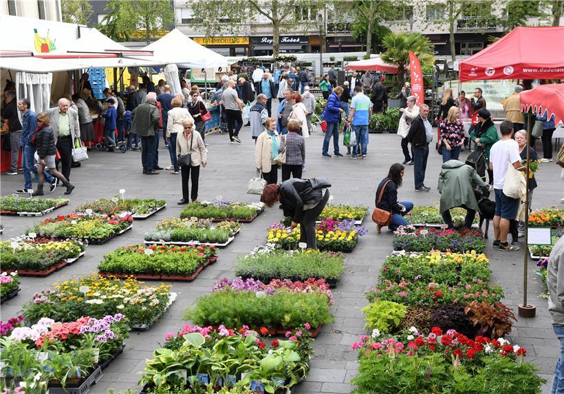Die Meinung der Düdelinger ist bei verschiedenen Projekten gefragt

