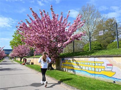 Die Menschen konnten den Frühling in Luxemburg draußen genießen – normal war das verglichen mit den Referenzwerten nicht