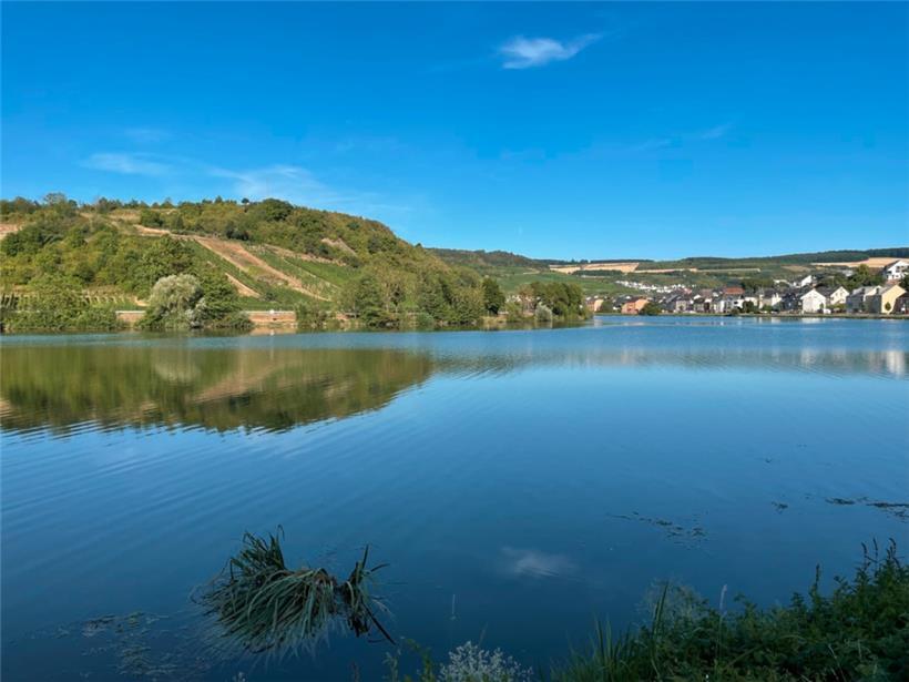Die Mosel bei Machtum
