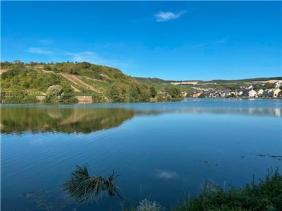 Die Mosel bei Machtum
