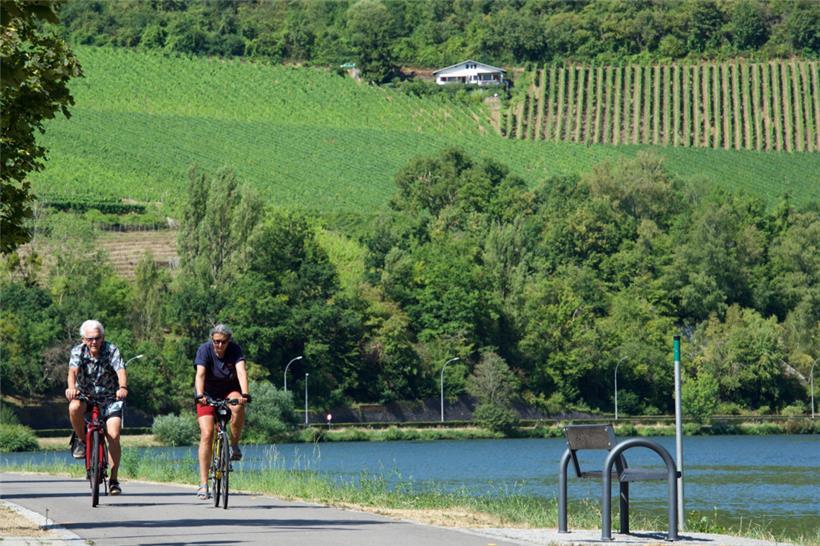 Die Moselgegend ist vom Weinbau geprägt und auf der „Route du vin“ lässt es sich gut radeln 
