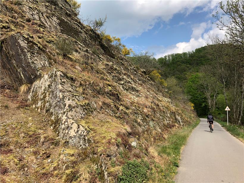 Die Naturschönheiten des Warktals lassen sich wunderbar mit dem Fahrrad oder zu Fuß erkunden
