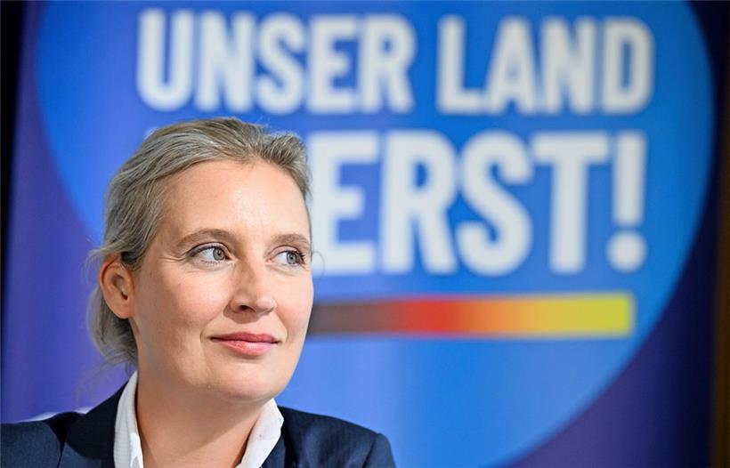 Die „Nazi-Schlampe“: In einem Urteil vom 11.5.2017 hatte das Landgericht Hamburg entschieden, dass die AfD-Politikerin Alice Weidel „Nazi-Schlampe“ genannt werden dürfe, wie es der Moderator in einer deutschen Satiresendung getan hatte. Diese Aussage sei vom Recht auf Meinungsfreiheit gedeckt.
