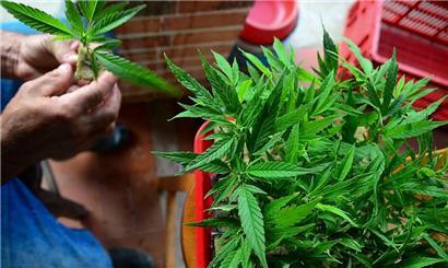 Die Plattform juicyfields.io versprach ihren Nutzern stattliche Gewinne
