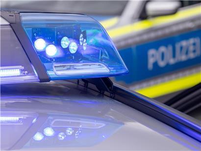 Polizeieinsatz bei Leipzig: Erschossener entlaufener Tiger auf einer Wiese, Sicherheit und Gefahrenabwehr im Fokus