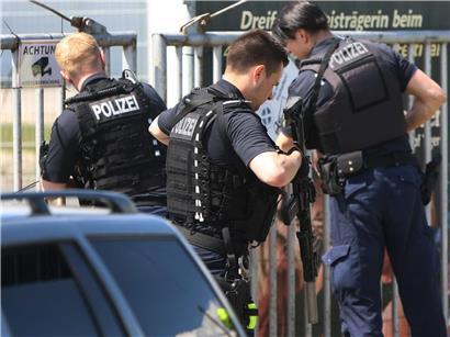 Polizeieinsatz bei Leipzig: Erschossener entlaufener Tiger auf einer Wiese, Sicherheit und Gefahrenabwehr im Fokus