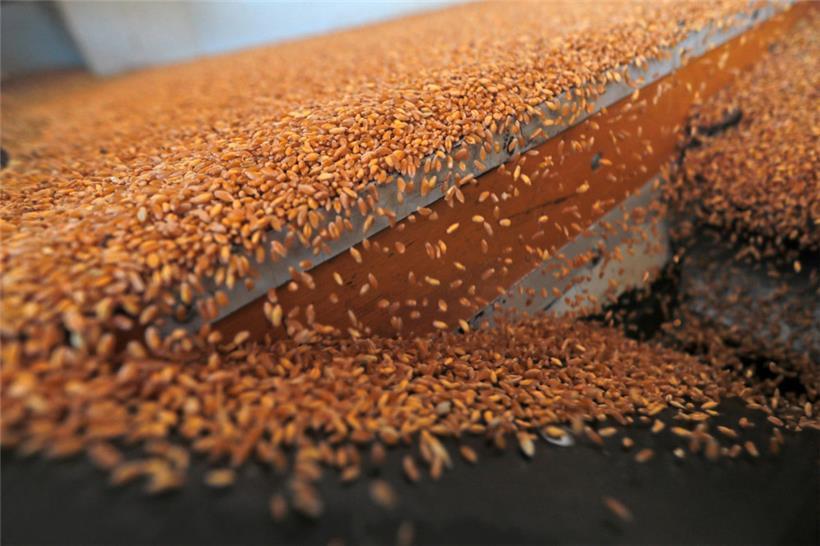 Die Preise für Lebensmittel werden weiter steigen
