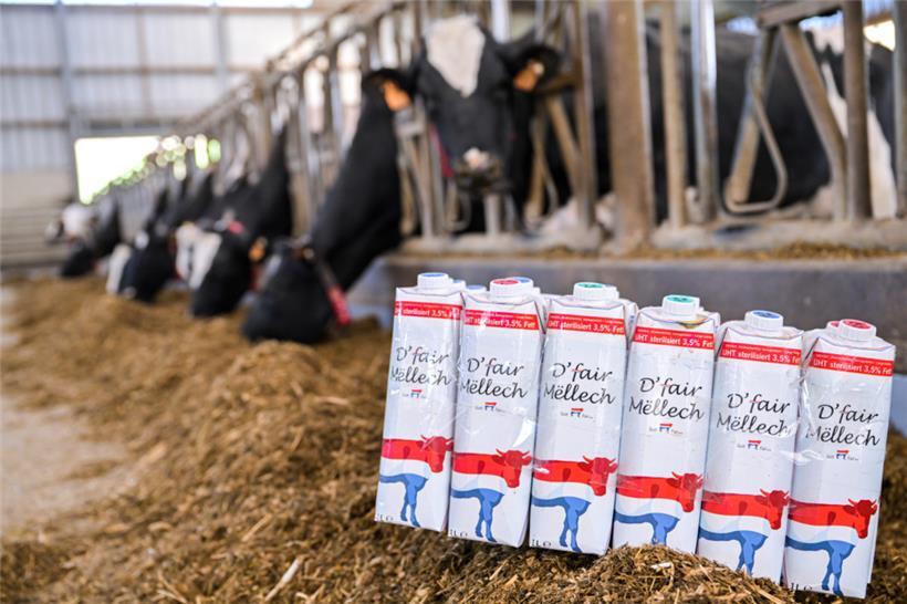 Die Produktionskosten von Milchprodukten sind in den vergangenen Jahren stark gestiegen
