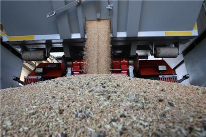 Die Resultate der diesjährigen Ernte sind unterdurchschnittlich schlecht
