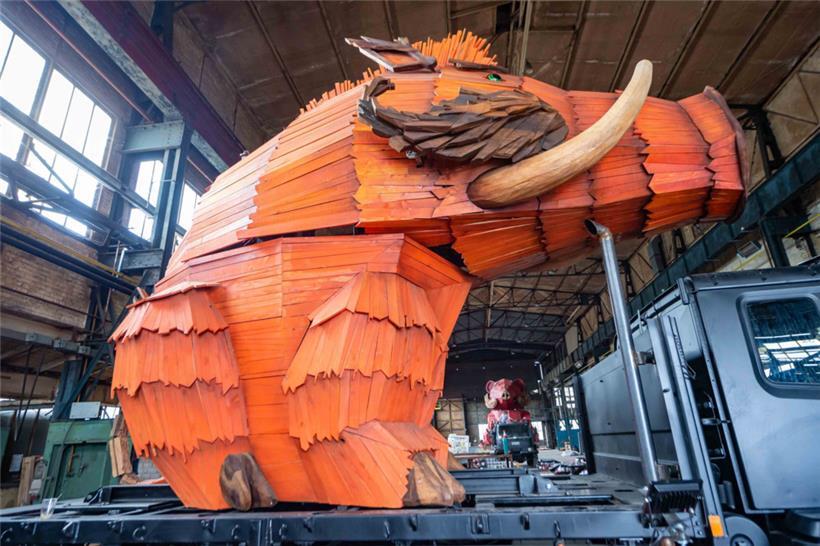 Die Sau im Spiel: Felix, stolzer Eber