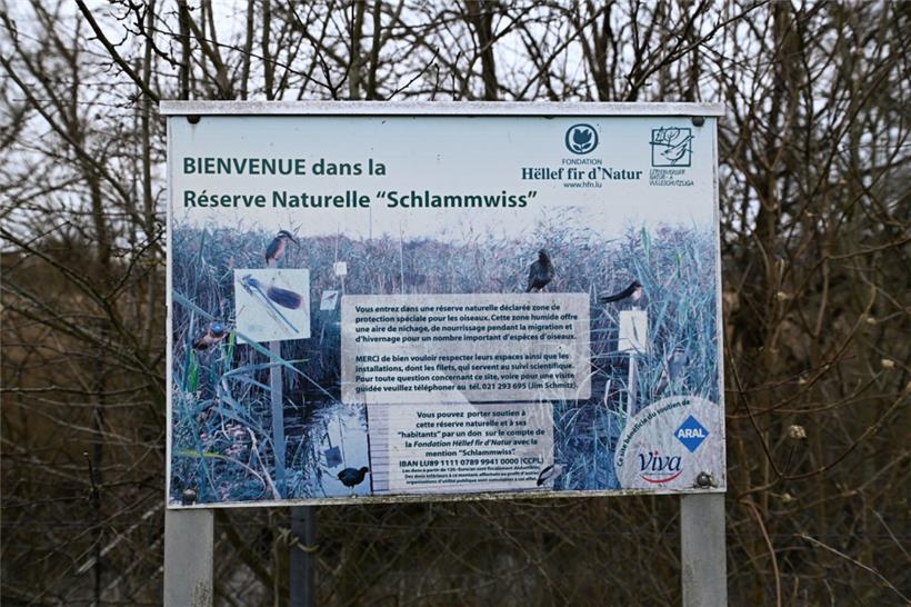 Die „Schlammwiss“ ist eine Kompensierungsmaßnahme für den Bau der A1, deren letz...