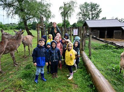 Schulklasse aus Strassen mit Regenschirmen bei Regenwetter, fröhlich und neugierig im Freien unterwegs