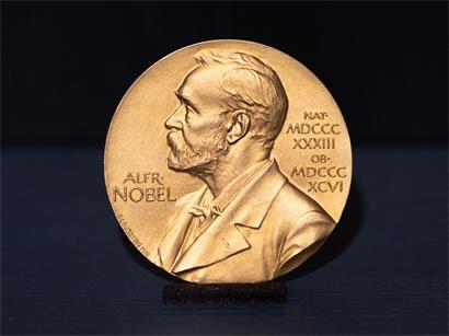 Die Schwedische Akademie vergab am Donnerstag den Literaturnobelpreis